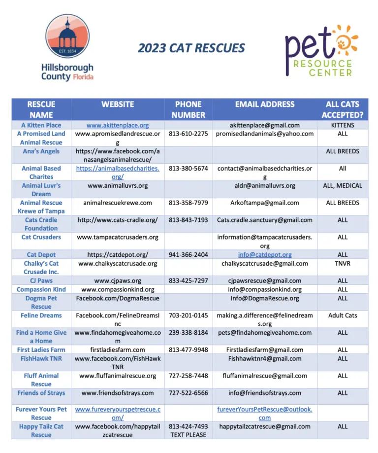 23CatRescue1-768x919