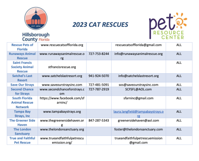 Cat-Rescues3-768x624